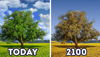 تغییراتی که تا سال ۲۱۰۰ دنیا را تکان خواهد داد