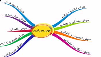 هوش های چندگانه گاردنر