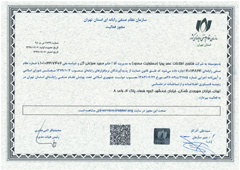 عضویت در نظام صنفی رایانه ای کشور